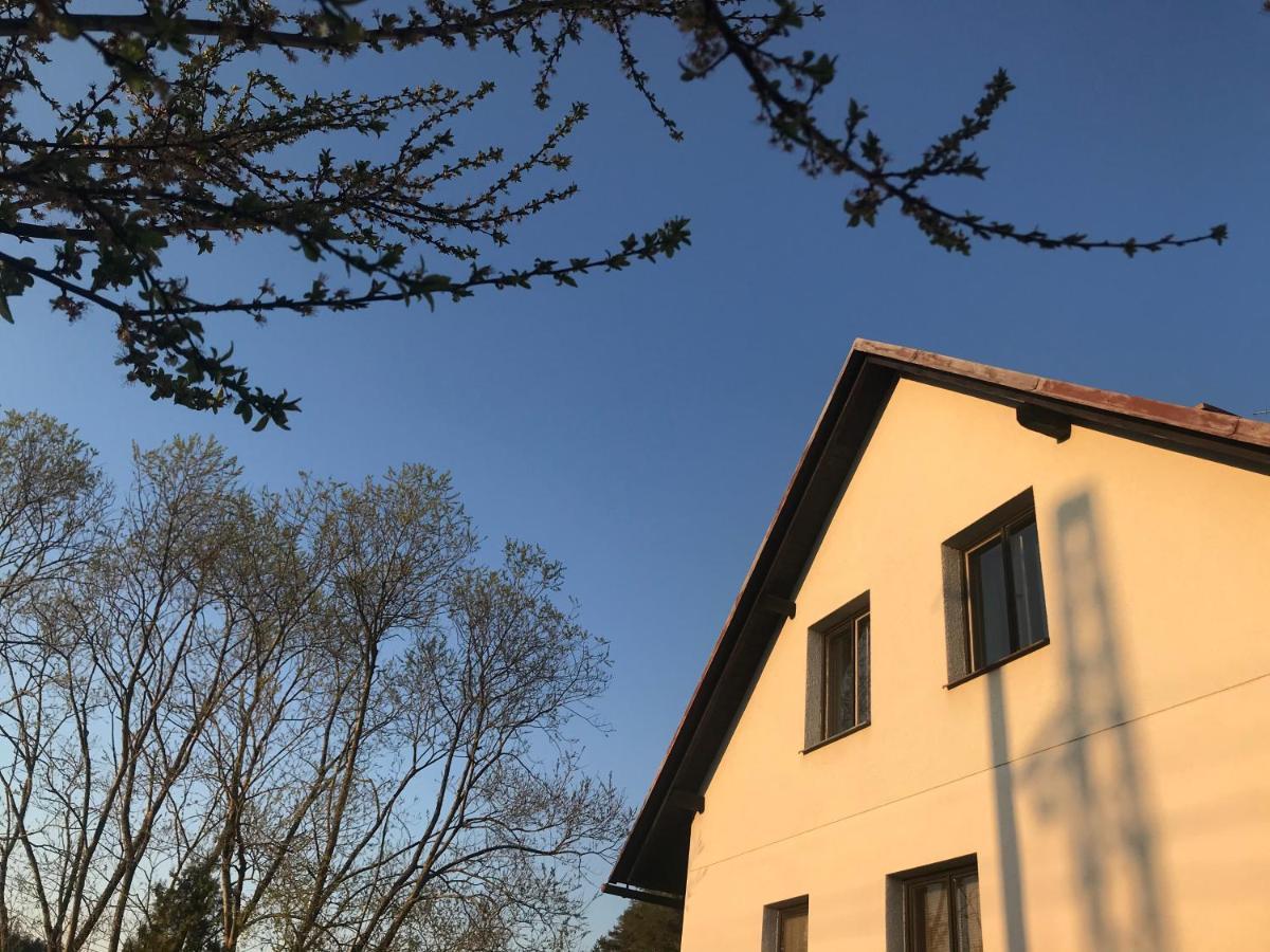 Apartman Ivko Letohrad Ngoại thất bức ảnh