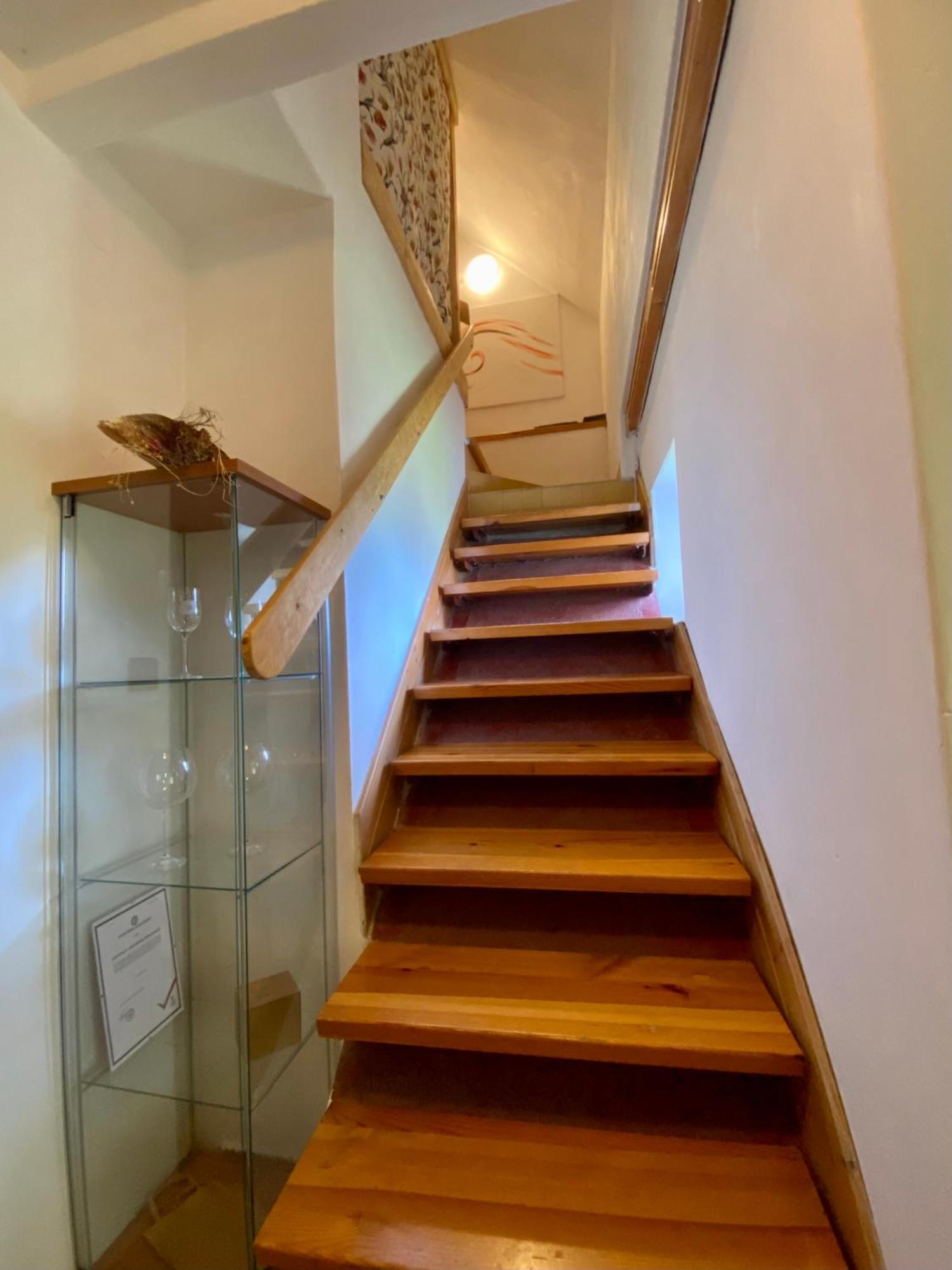 Apartman Ivko Letohrad Ngoại thất bức ảnh